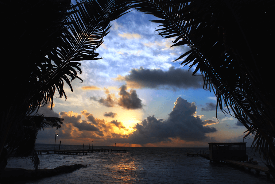 Sunset through palm leaves on Caye Caulker island in Belize